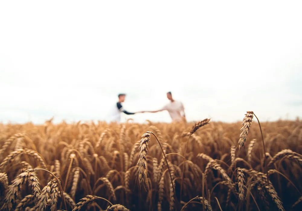 Two people shaking hands in a standing crop