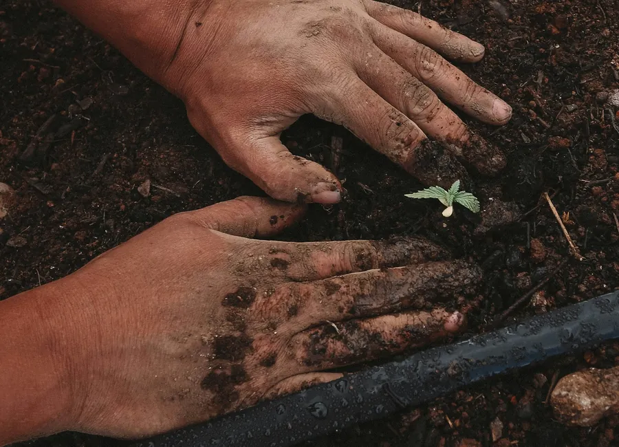 Soil work during estate establishment