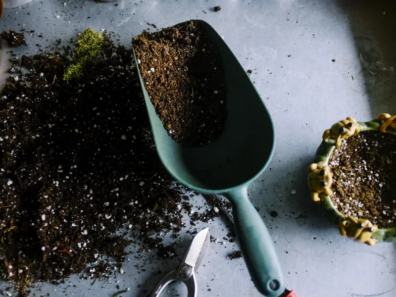 Bare soil and hand tools before planting