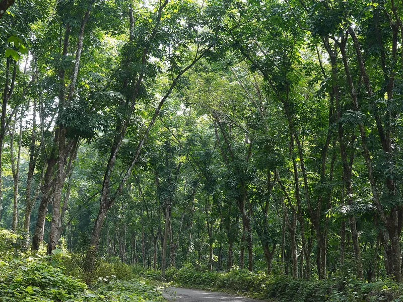 Internal estate road