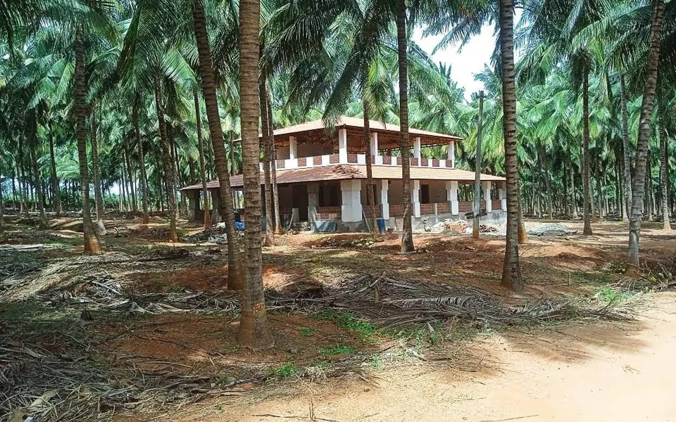 Farmhouse among mature coconut palms — Chinnamanur Coconut Farm