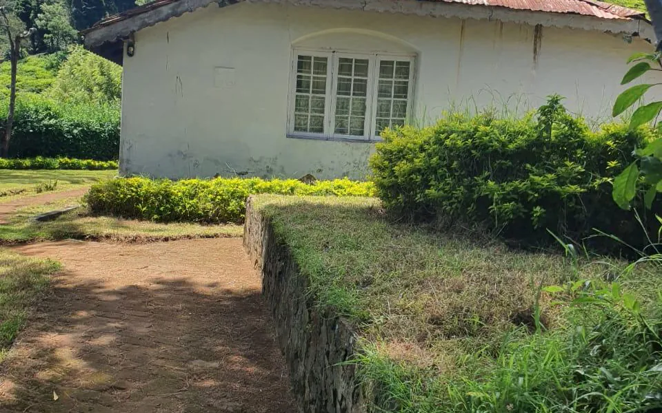 Estate bungalow — Organic Tea Estate, The Nilgiris